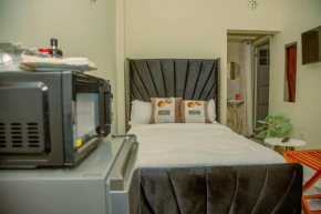 Twilight modern studio with free WIFI and Netflix